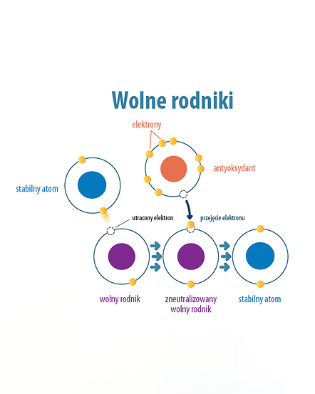 Obszar kompozycji 1 1